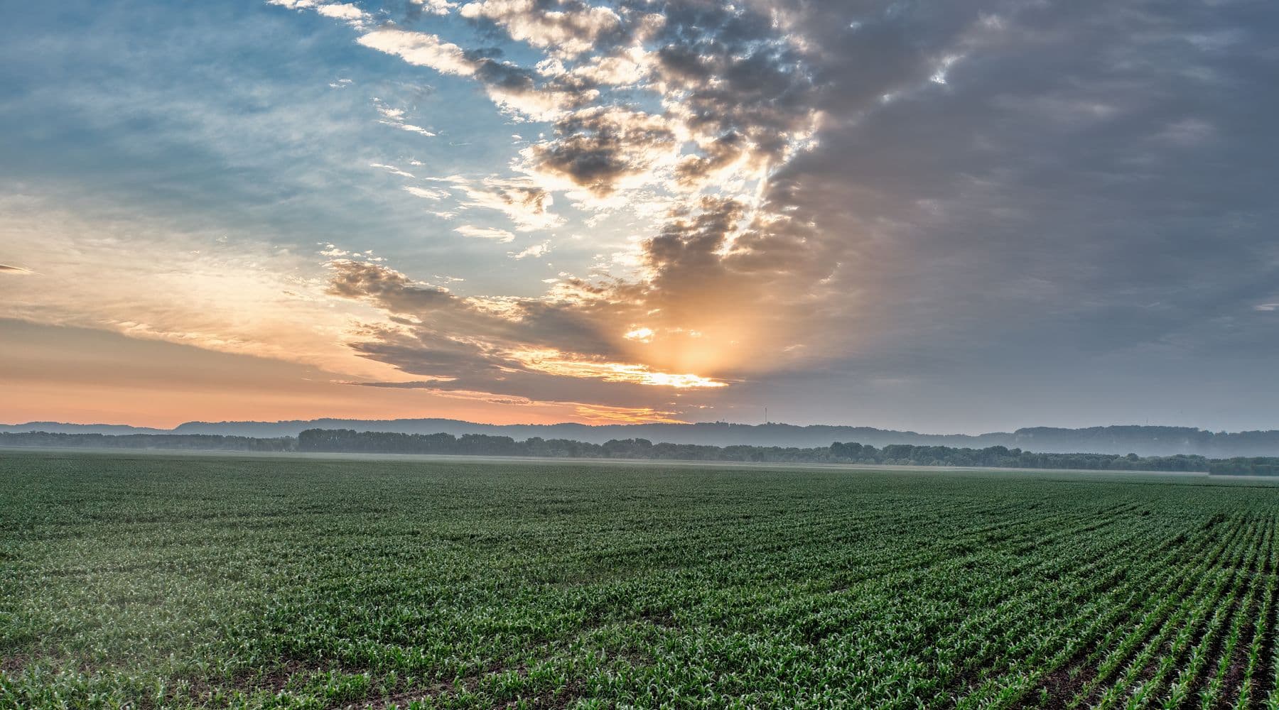 Rows of cropland under a dramatic sunrise sky